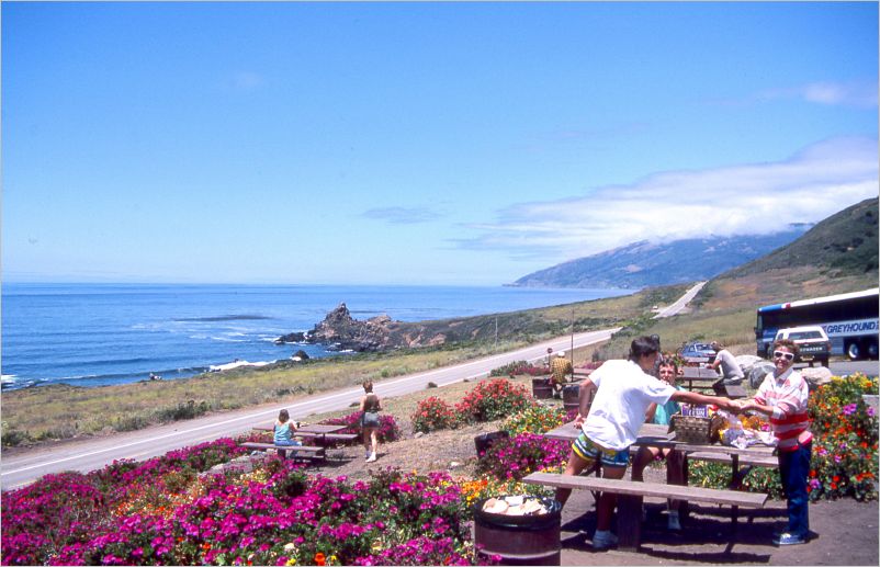 Lunch at a beautiful roadside park